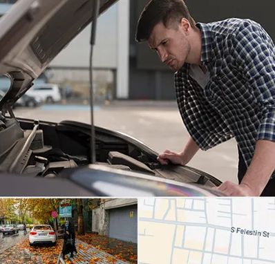 کارشناسی خودرو سیار در خیابان فلسطین