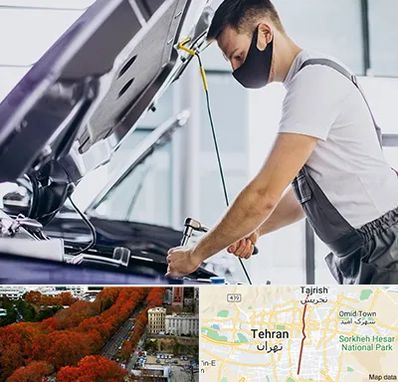 کارشناسی خودرو در محل در ولیعصر 