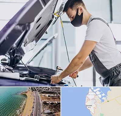 کارشناسی خودرو در محل در بوشهر