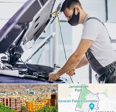 کارشناسی خودرو در محل در نیاوران 