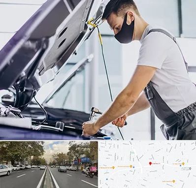 کارشناسی خودرو در محل در دولت 