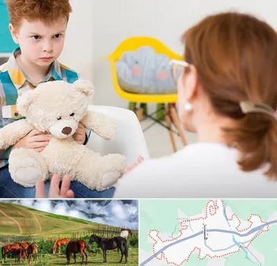 روانپزشک کودک در تالش