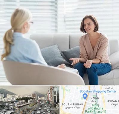 روانکاو در پونک