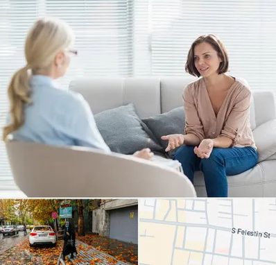 روانکاو در خیابان فلسطین