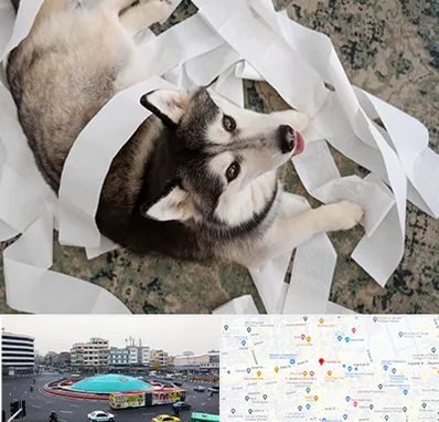 خرید ضایعات پت در میدان انقلاب 