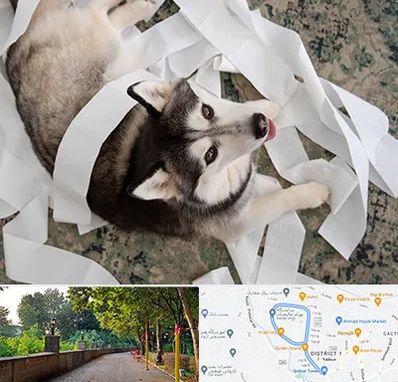 خرید ضایعات پت در فلکه گاز رشت 