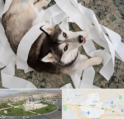 خرید ضایعات پت در بومهن