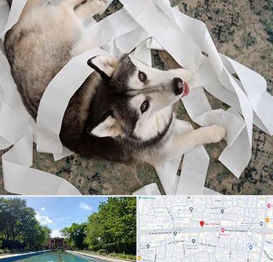 خرید ضایعات پت در هشت بهشت اصفهان 