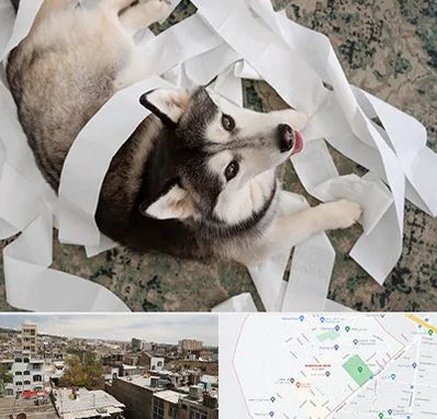 خرید ضایعات پت در شمیران نو 