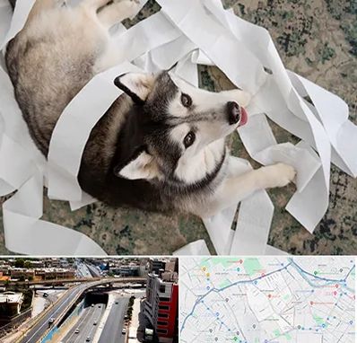 خرید ضایعات پت در ستارخان شیراز 