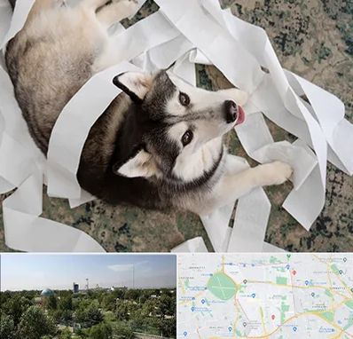 خرید ضایعات پت در منطقه 16 تهران 