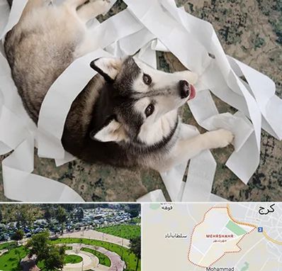 خرید ضایعات پت در مهرشهر کرج 