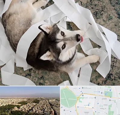 خرید ضایعات پت در نازی آباد 