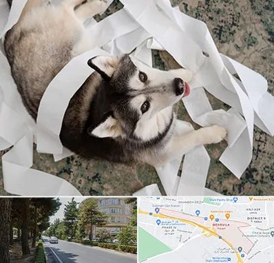 خرید ضایعات پت در مهرویلا کرج 