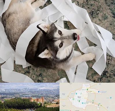 خرید ضایعات پت در بیرجند