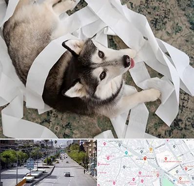 خرید ضایعات پت در خیابان زند شیراز 