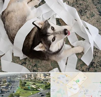 خرید ضایعات پت در کمال شهر کرج 