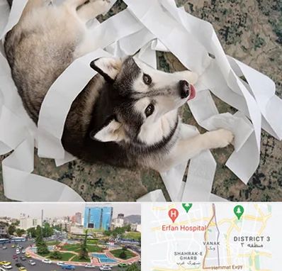 خرید ضایعات پت در ونک 