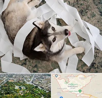 خرید ضایعات پت در شهرکرد