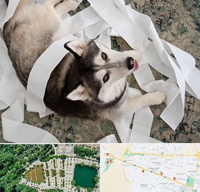 خرید ضایعات پت در وکیل آباد مشهد 