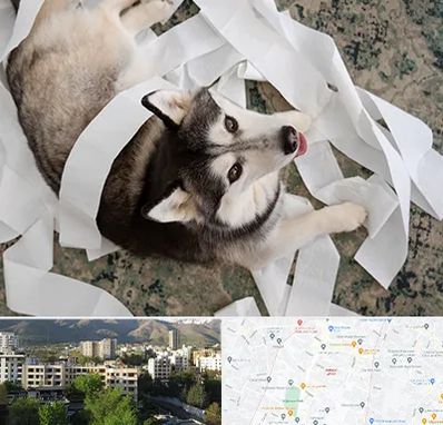 خرید ضایعات پت در دیباجی 