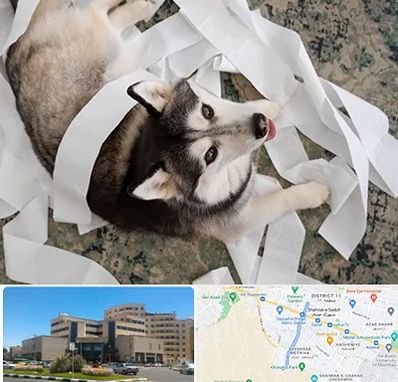 خرید ضایعات پت در صیاد شیرازی مشهد 