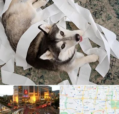 خرید ضایعات پت در جنت آباد تهران 