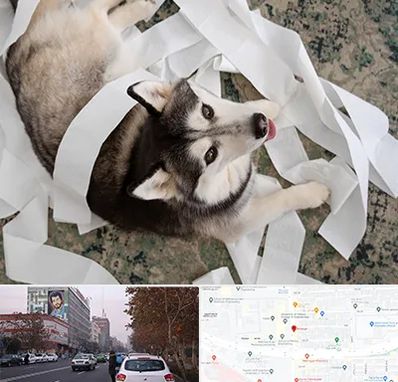 خرید ضایعات پت در کارگر شمالی 