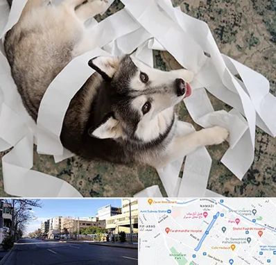 خرید ضایعات پت در خیابان ملاصدرا شیراز 