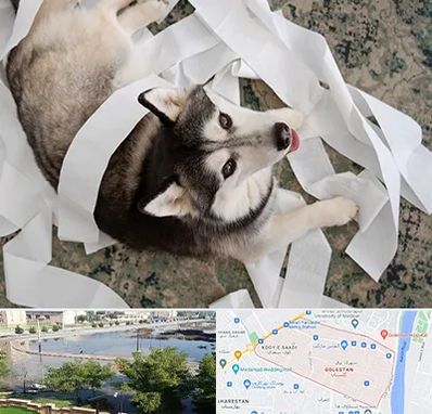 خرید ضایعات پت در گلستان اهواز 