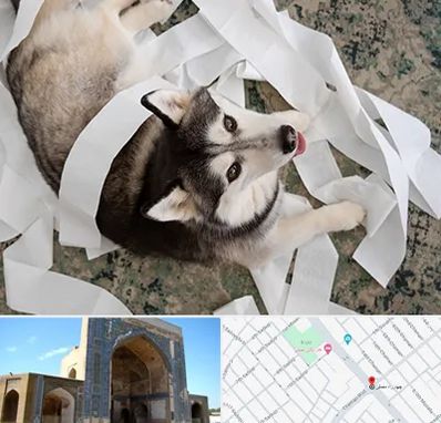 خرید ضایعات پت در مصلی مشهد