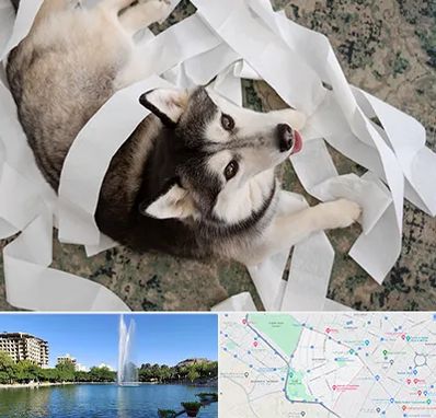 خرید ضایعات پت در کوهسنگی مشهد 