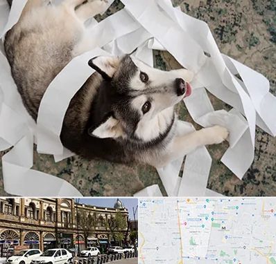 خرید ضایعات پت در منطقه 11 تهران 