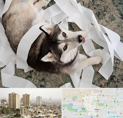 خرید ضایعات پت در منطقه 5 تهران 