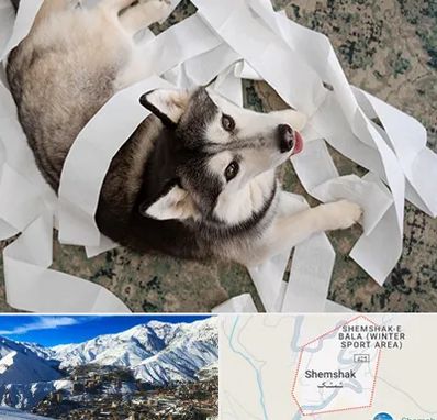 خرید ضایعات پت در شمشک