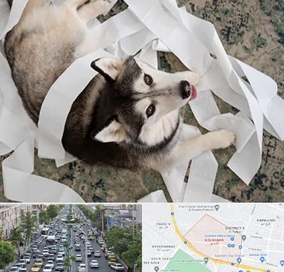 خرید ضایعات پت در گلشهر کرج 