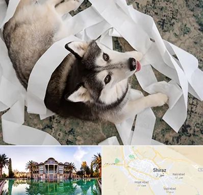 خرید ضایعات پت در شیراز