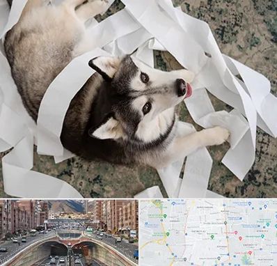 خرید ضایعات پت در منطقه 10 تهران 