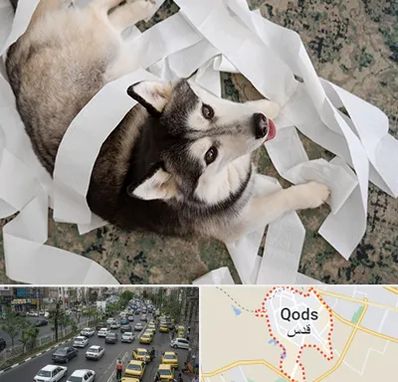 خرید ضایعات پت در شهر قدس