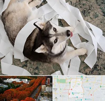 خرید ضایعات پت در منطقه 6 تهران 