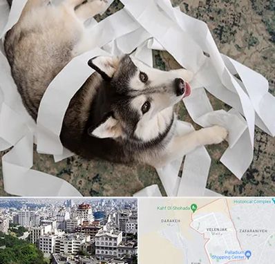 خرید ضایعات پت در ولنجک 