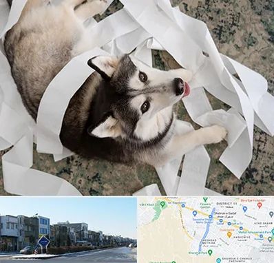 خرید ضایعات پت در شریعتی مشهد 