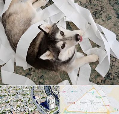 خرید ضایعات پت در قاسم آباد مشهد 