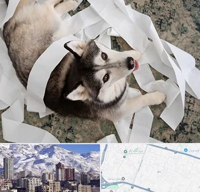 خرید ضایعات پت در ازگل