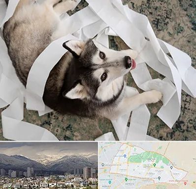 خرید ضایعات پت در منطقه 4 تهران 