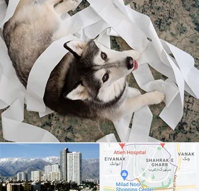 خرید ضایعات پت در شهرک غرب 