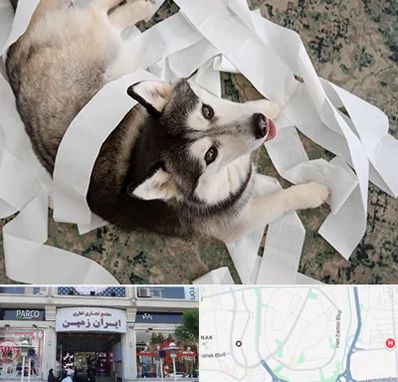 خرید ضایعات پت در ایران زمین