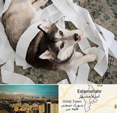 خرید ضایعات پت در اسلامشهر