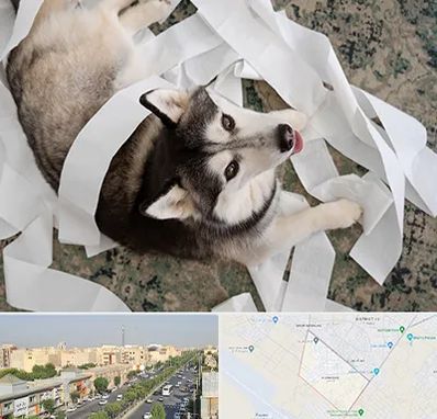 خرید ضایعات پت در کیانمهر کرج 