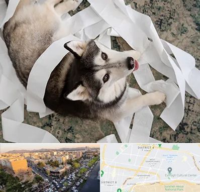 خرید ضایعات پت در تهرانپارس 